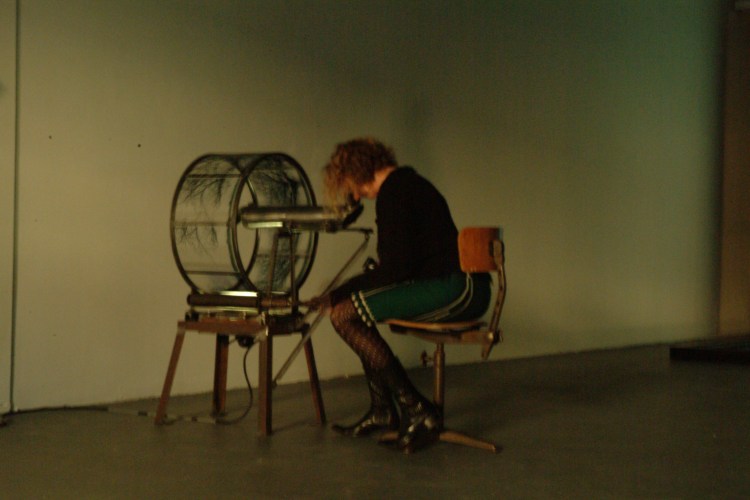 QUERCUS ROBUR VISTED.JPG